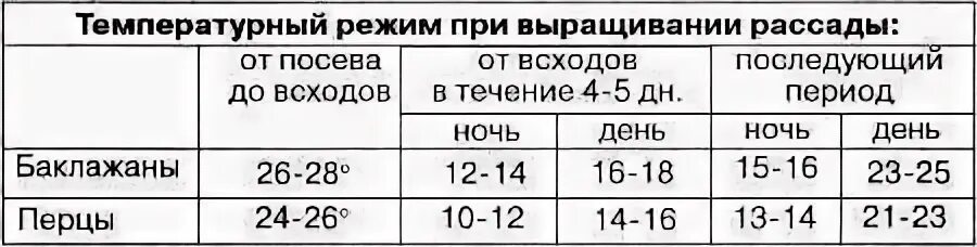 Температура для рассады после всходов. Температурный график для выращивания рассады томатов. Температурные режимы выращивания рассады перца. Выращивание рассады томатов температурный режим. Температурный режим для рассады томатов и перцев.