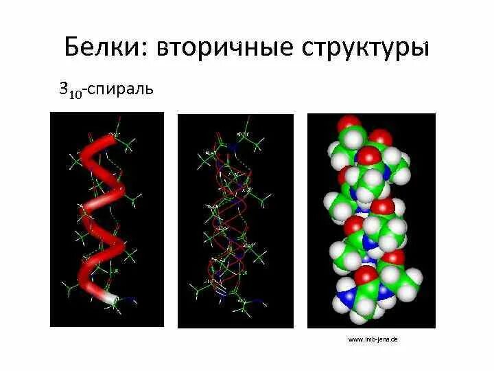 Белковая спираль. Альфа спираль вторичной структуры белка. бета спираль вторичной структуры белка. вторичная структура белка спираль. бета структура вторичной структуры белка.