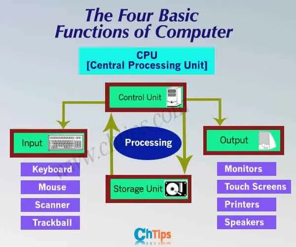 Functions of computers. Function of Computers текст. Урок 19 text functions of Computers. What is the function of CPU?.