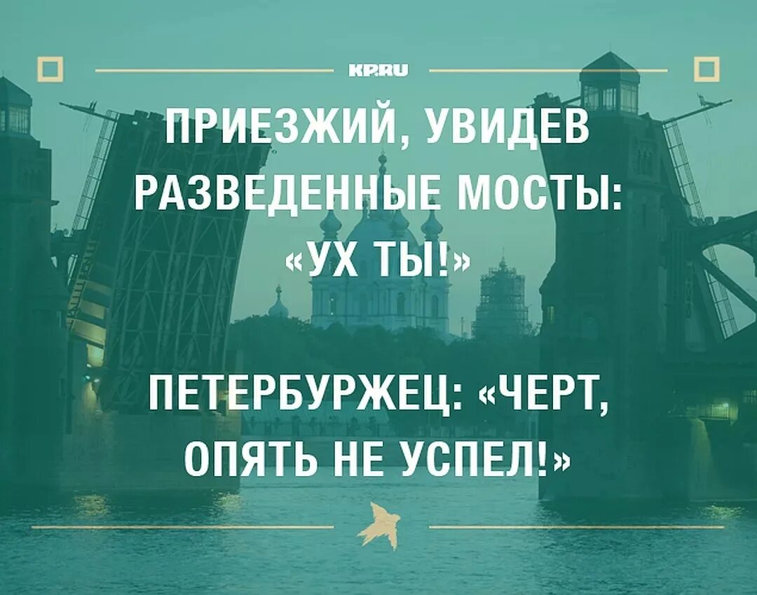 Фраза санкт петербурга. Смешные фразы про Питер. Цитаты про Петербург. Прикольные высказывания про Питер. Прикольные цитаты про Питер.