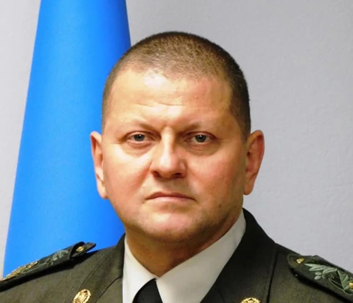 Биография залужного командующего