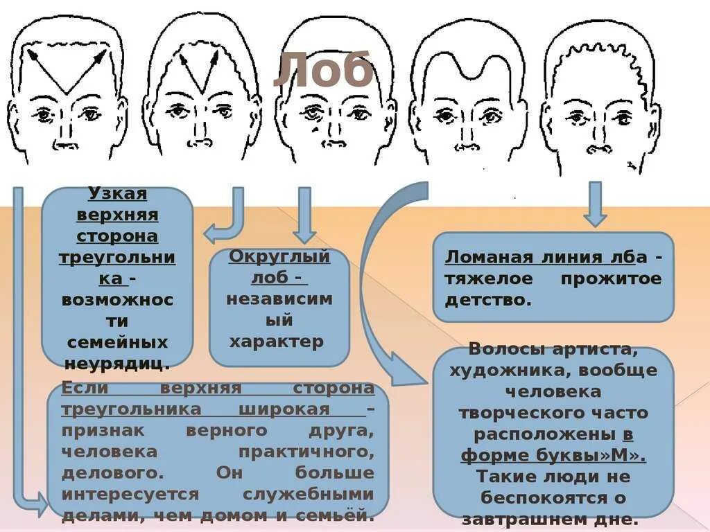 Лоб человека характер по форме. Разновидности лбов. Физиогномика. Форма лба физиогномика. Умный лоб