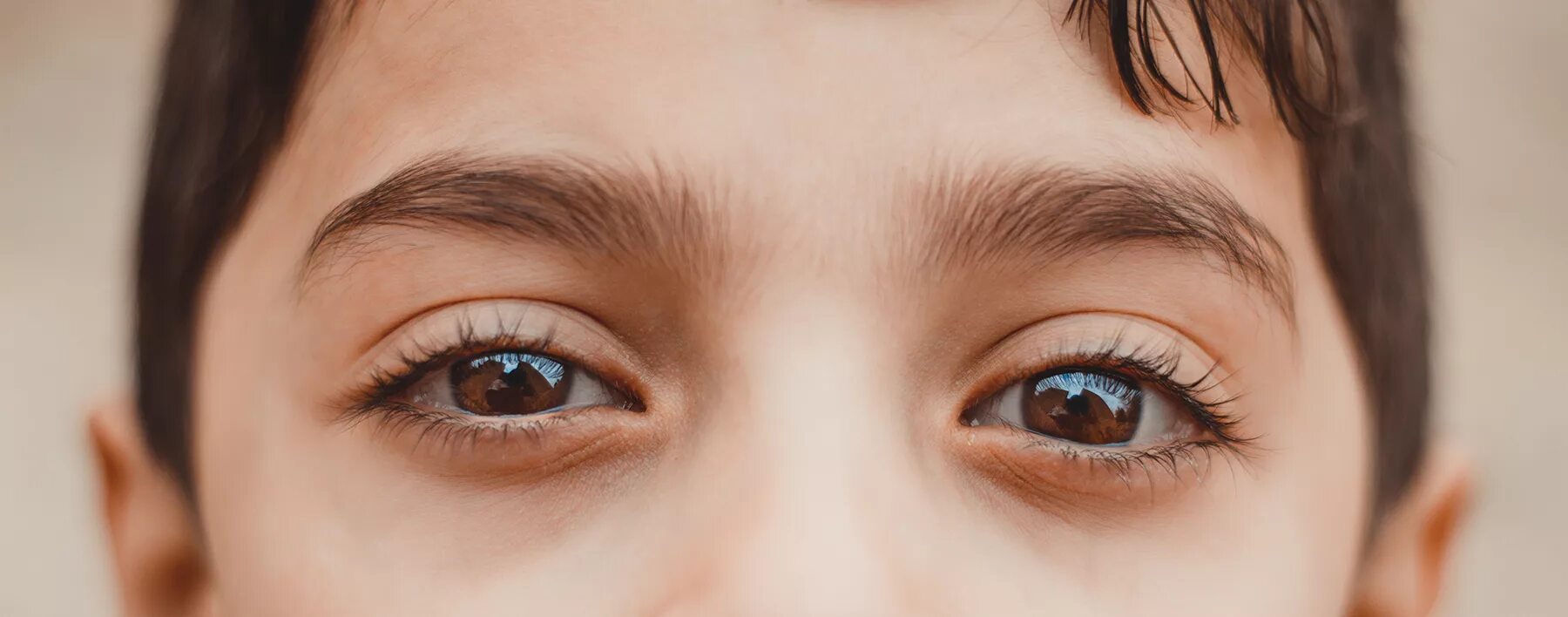 Le yeux