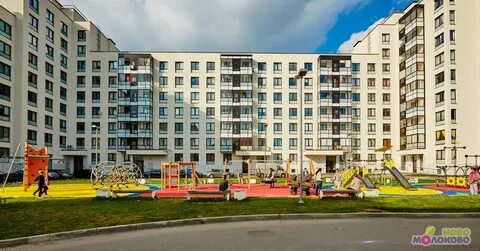 Молоково 1 московская область