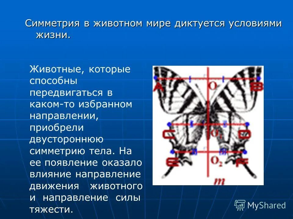 осевая симметрия презентация. принцип симметрии в физике. симметрия в пространстве относительно. симметрия. осевая и центральная симметрия.