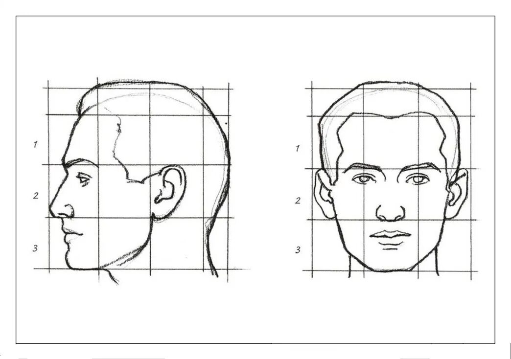 Лицо рисунок схема. Пропорции портрета человека профиль. Пропорции лица человека ФАС профиль. Пропорции портретов сбоку. Рисунок головы человека в ФАС И профиль.