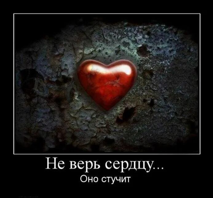 Грабли а сердце верит в чудеса. Куку епта. Цитаты про чудо. Чему бы грабли не учили а сердце верит чудесам. Чему бы грабли не учили а сердце верит в чудеса автор.