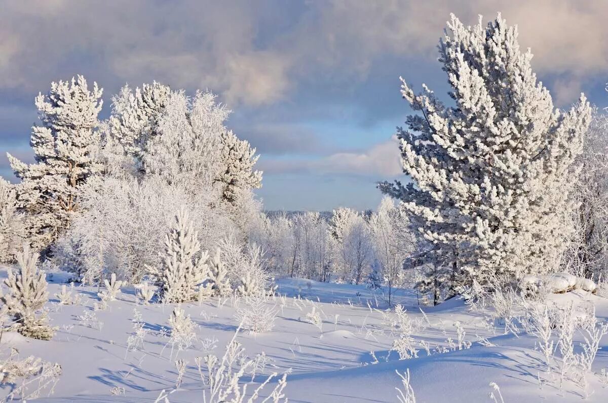 белый снег. белоснежный наст зимой. белая зима. природа башкортостана зимой с днем рождения. морозный день.