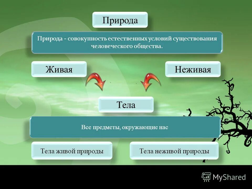 природа в широком смысле. среда как экологическое понятие. общество в узком смысле. это совокупность естественных условий существования человечества. совокупность естественных условий существования общества.
