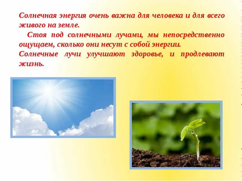 Энергия солнца презентация. Солнечный свет необходим растению для. Проект «солнце, растения и мы». Энергия солнца для растений.