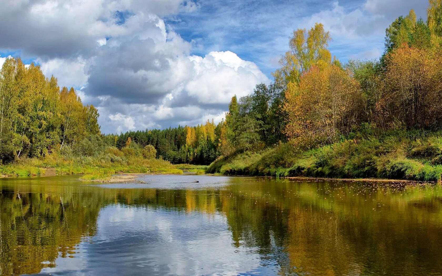 Родной край осенью. Лесные озёра средней полосы России. Река Тулва осень. Руза река лес. Река Тулва Пермский край.