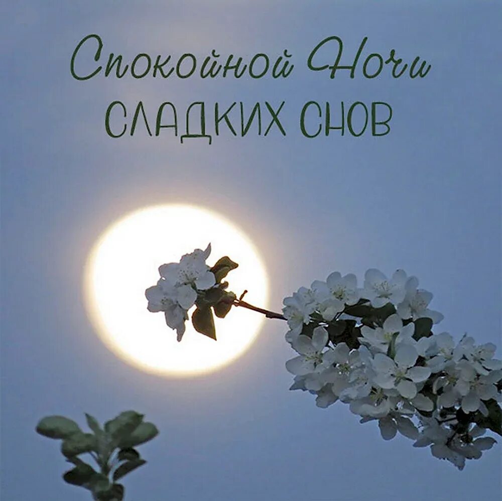 Доброй ночи картинки. Спокойной и доброй ночи весенние. Открытки спокойной ночи. Открытки спокойной ночи сладких снов. Прекрасных снов.