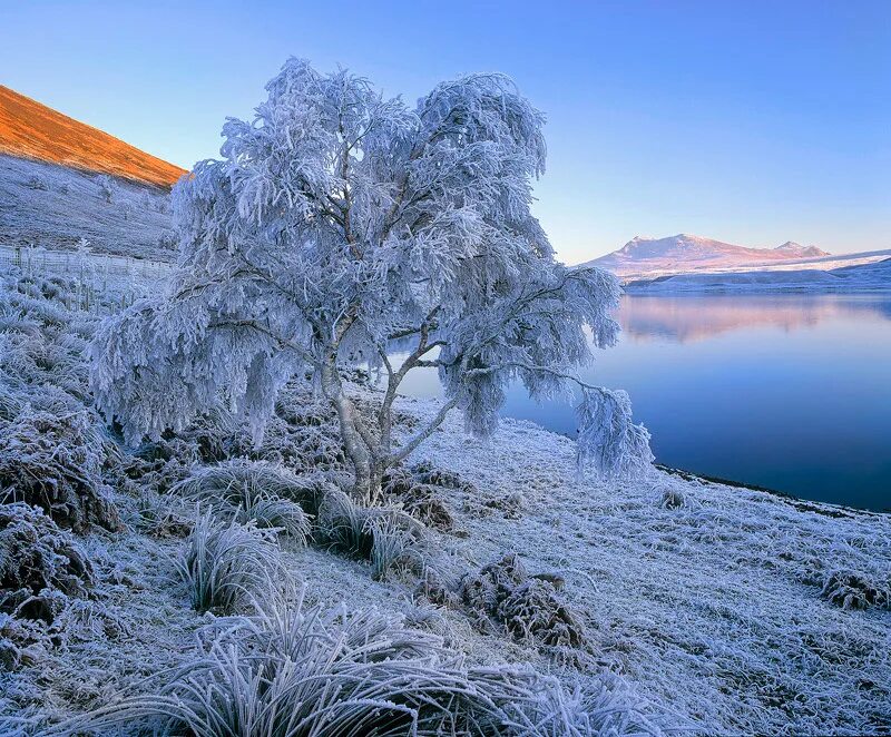 Необыкновенно теплые. Красота зимы. Красота природы зимой. Самая красивая зима. Необычные зимние пейзажи.