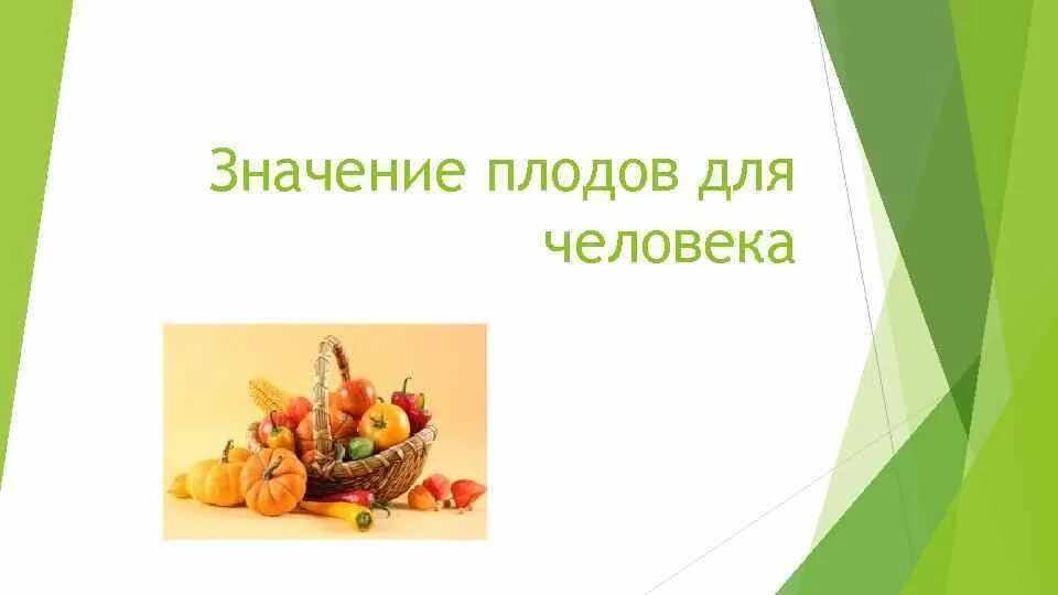 Значение плодовых. Плоды в жизни человека. Разнообразие плодов и их роль в природе. Роль плодов в природе и в жизни человека. Значение плодов для человека.