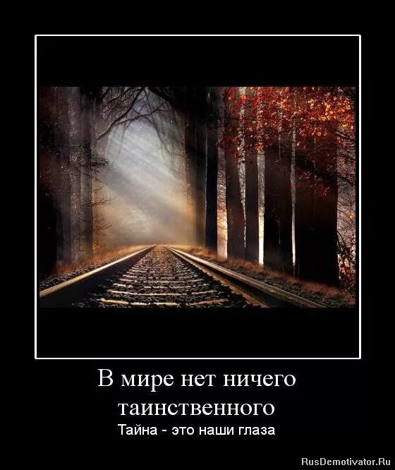 Фразы про жестокость. Если моё отсутствие ничего не меняет в вашей жизни. Нет ничего отвратительнее большинства. Нет ничего отвратительнее большинства. Ничего страшного абсолютно.