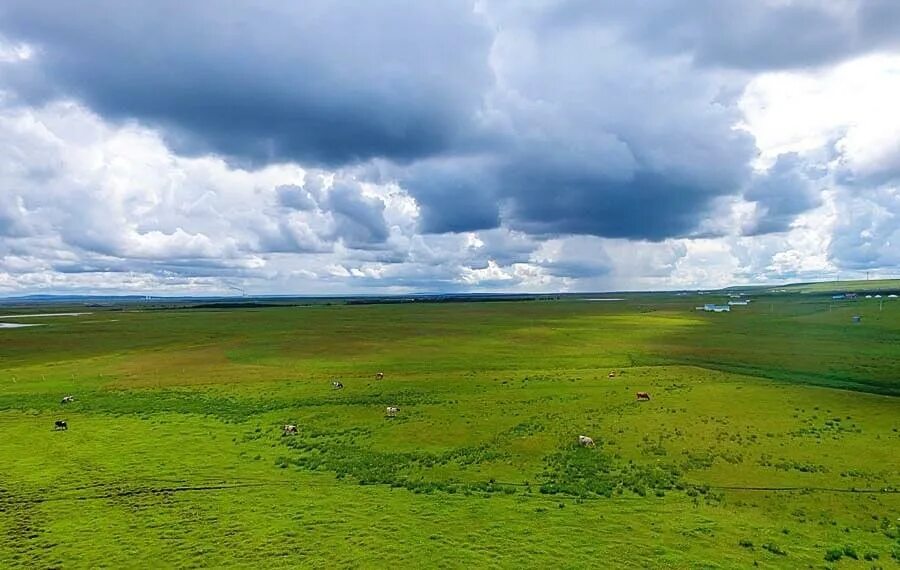 Средняя высота китайской равнины. Монголия Хулун-Буир. Низкие аккумулятивные равнины Китая. Хулун Буир внутренняя Монголия. Китай равнина Сунляо.