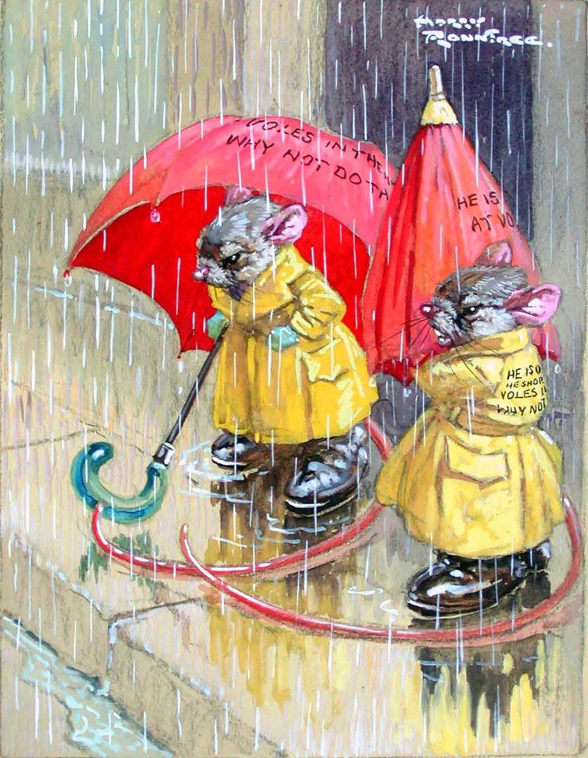 Кот с зонтиком. Кот с зонтиком дождик. Котик под зонтиком. Калоши и зонтик