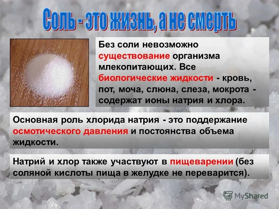 Питьевая вода презентация. Десять заповедей как основа христианской нравственности. Нельзя существование. Нельзя бывает для тех кто спрашивает картинка. Нельзя существование.