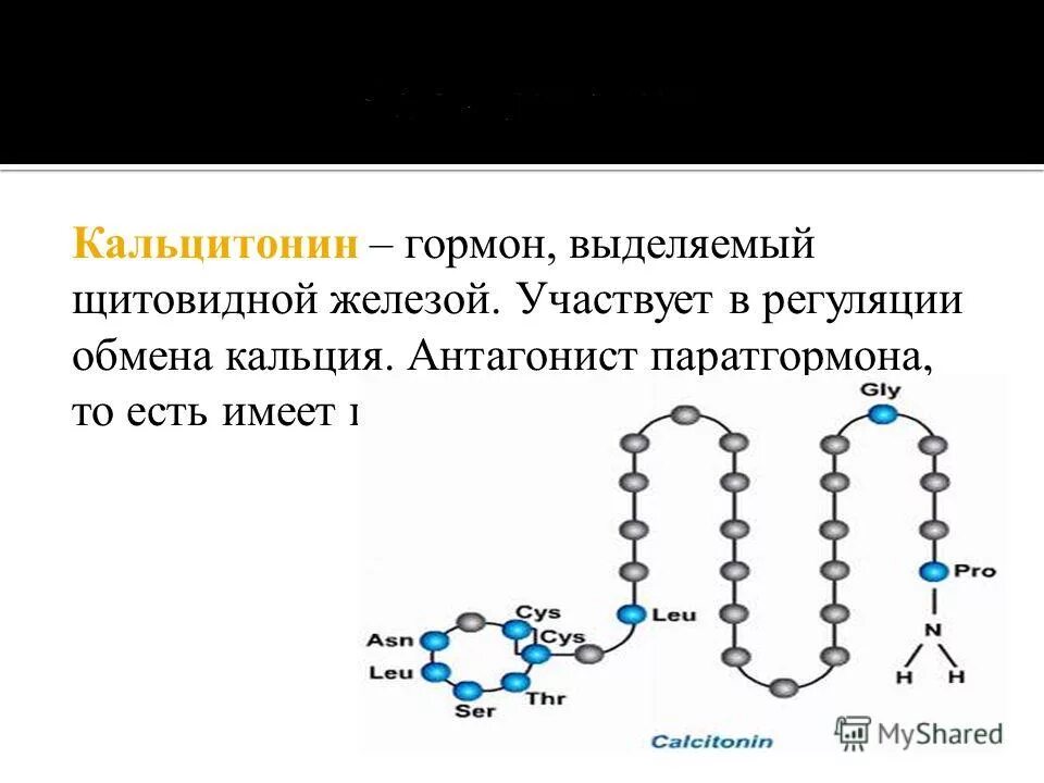 Кальцитонин 0.5