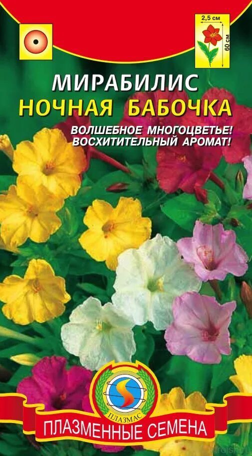 Однолетник мирабилис. Мирабилис мраморная смесь плазменные семена. Мирабилис семена. Мирабилис цветы семена. Мирабилис семена купить