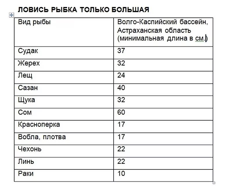 Когда можно ловить воблу в 2024 году. Таблица нормы вылова рыбы. Размеры рыб. Разрешённый размер вылавливаемой рыбы. Размер рыбы разрешенной к вылову.