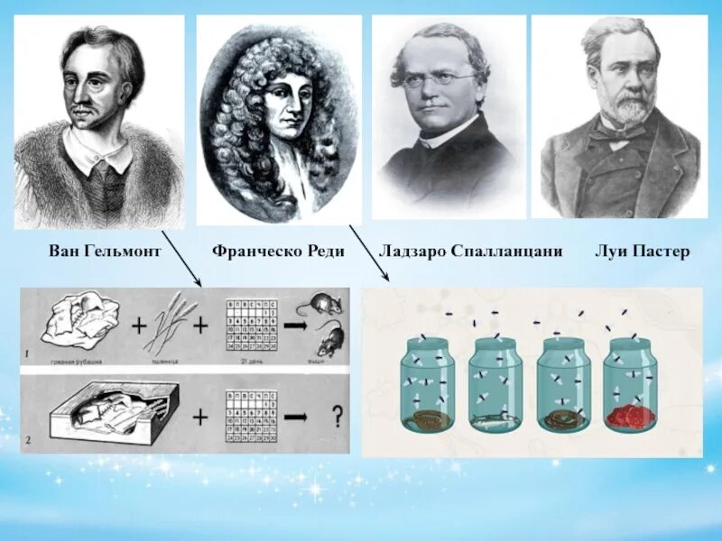 Фамилия реди. Опыты франчессао реси и луи пастера. Фамилия реди. Реди. Опыты франчессао реси и луи пастера.