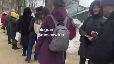 Очередь в аптекарский огород