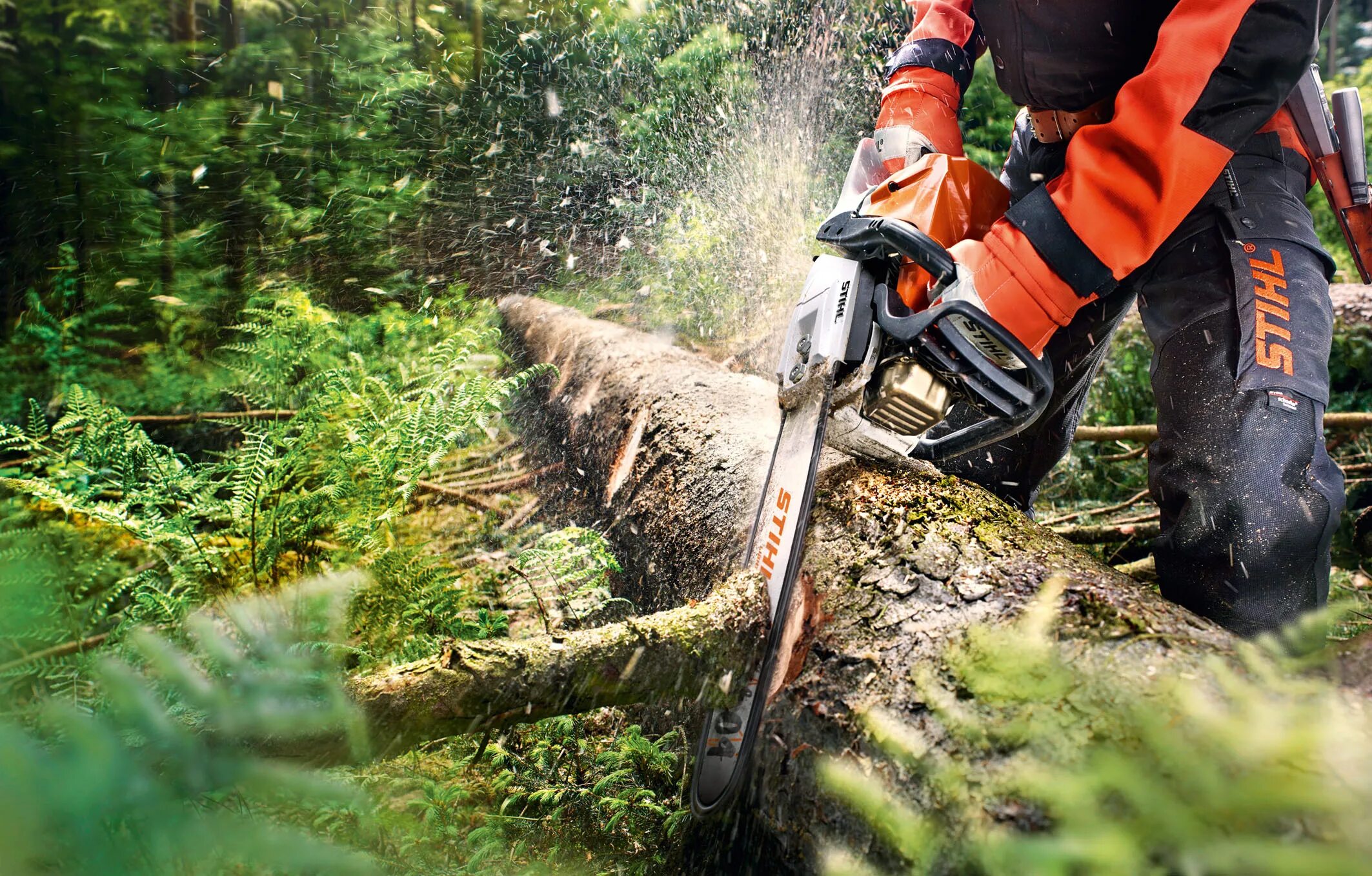 Stihl ru. Бензопила штиль Секвойя. Бензопила штиль для Валки леса. Валка леса пилой штиль. Спил деревьев пилой штиль.