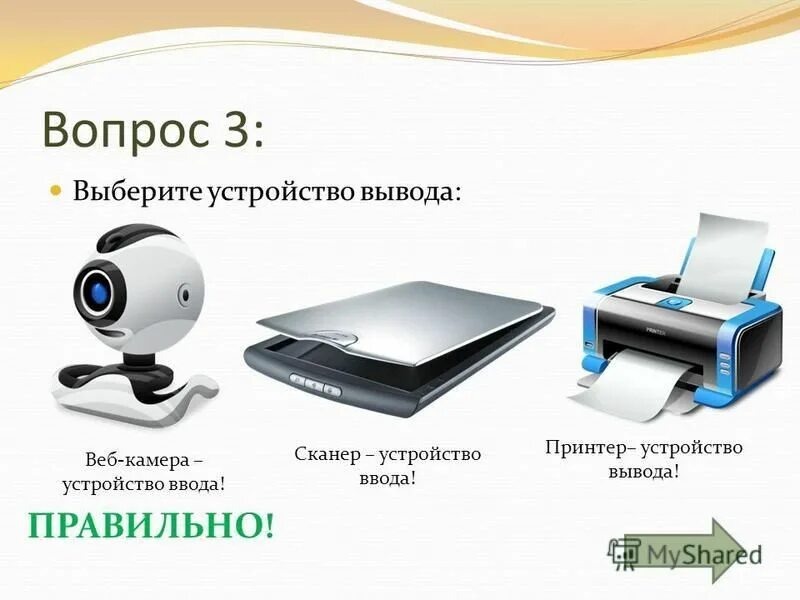 Сканер устройство вывода. Устройства ввода принтер. Веб камера устройство ввода. Сканер это устройство ввода или вывода. Сканер относится к вводу информации