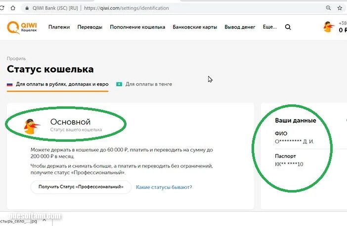 Как сделать основной статус в киви. Кошелька киви основной основной статус. идентификационные данные киви кошелька. идентификация qiwi кошелька. паспорт для идентификации киви кошелька.