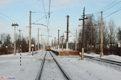 Витебский сусанино