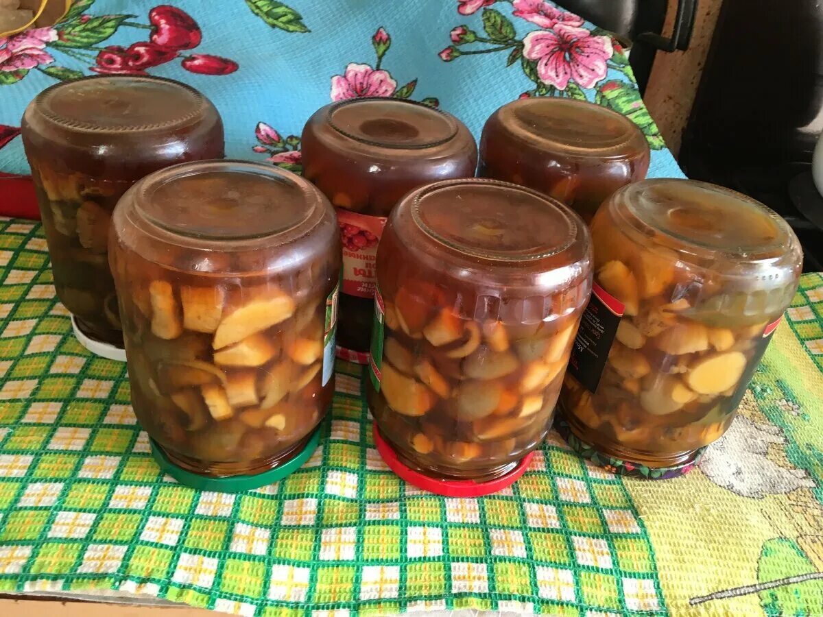 Моховики как заготовить на зиму. Моховики грибы маринованные. моховики маринованные на зиму. маслята маринованные. моховики соленые в банках.