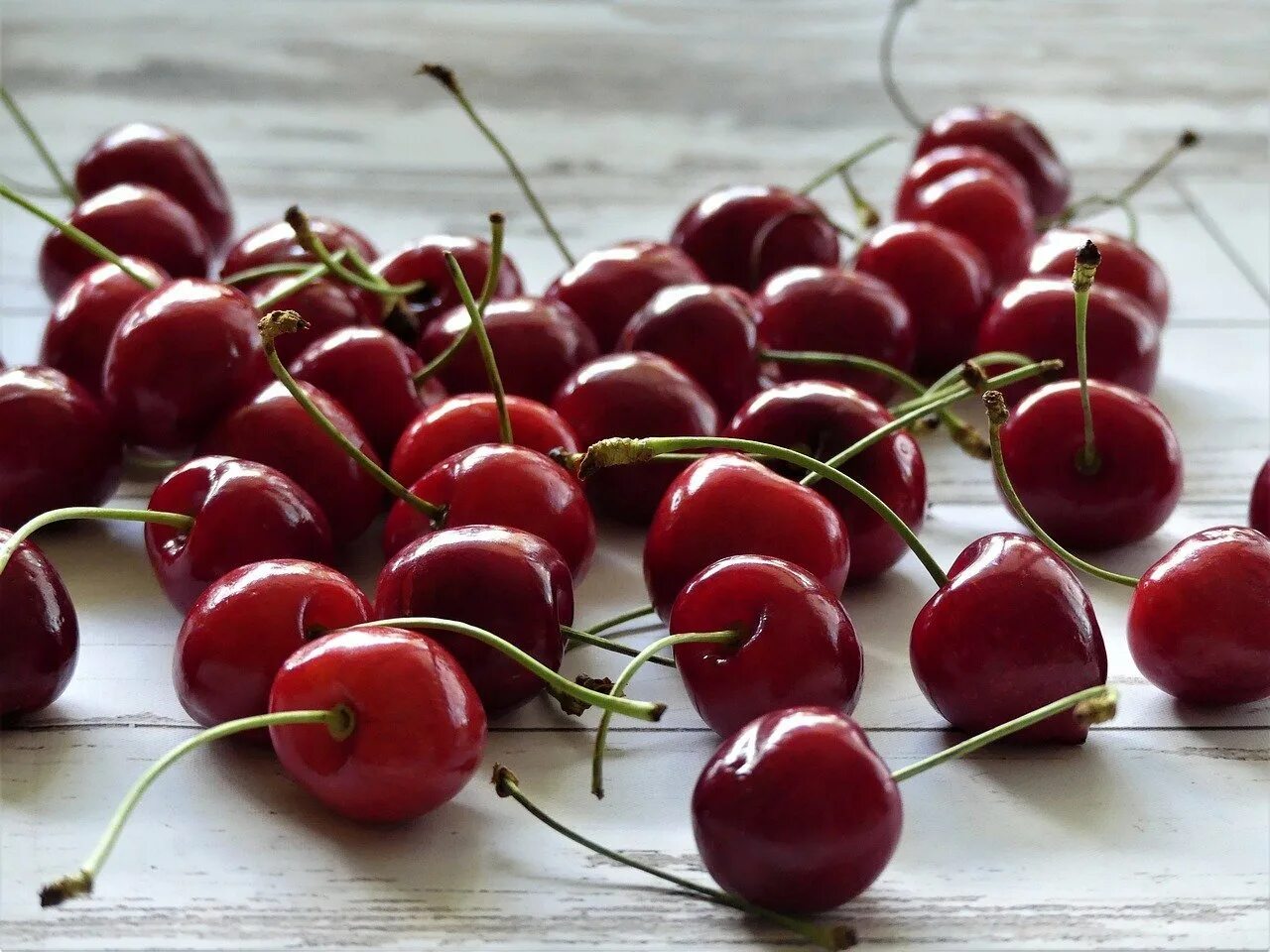 Вишня алая вишня спелая текст. Черри вишня. Вишня "Red Cherry". Вишня Подбельская. Семена черри черешня.