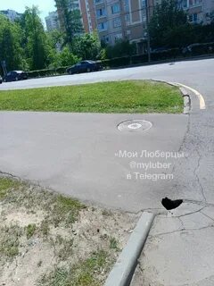 Туту люберцы