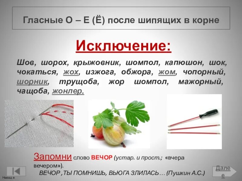 Шов шорох капюшон крыжовник слова исключения. Исключения шов шорох капюшон. Шов шорох капюшон правило. Слова исключения крыжовник капюшон. Исключения по написанию слова.
