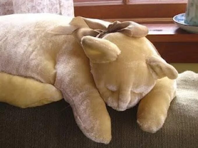 кошка спит на подушке. кошка спит на подушке. игрушки для подушки. подушка спящий котик. кошка спит на подушке.