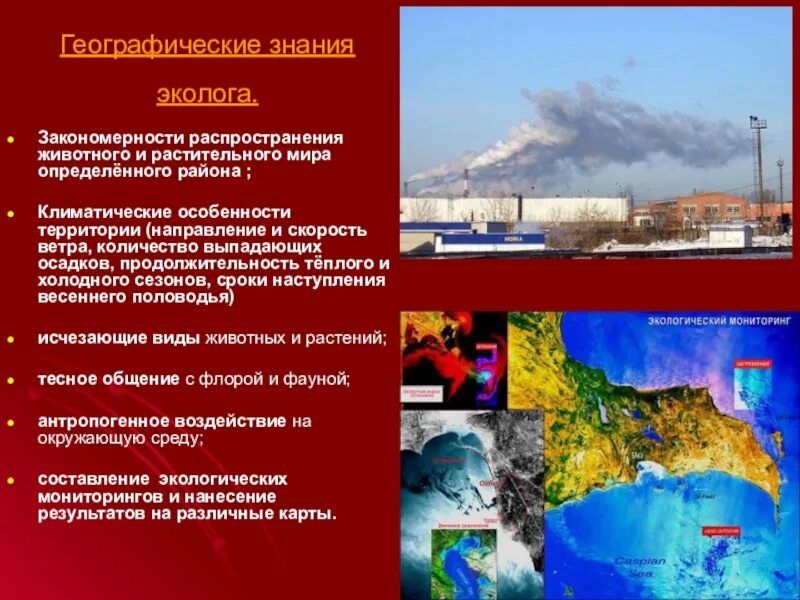 Закономерности распространения животных. Закономерности распространения животных. Закономерности распространения животных. Закономерности распространения тумана. Закономерности распространения почв на территории россии таблица.