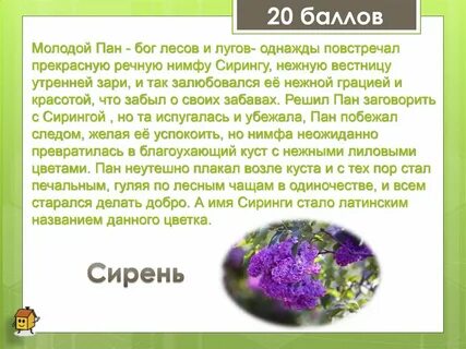 Имя пана