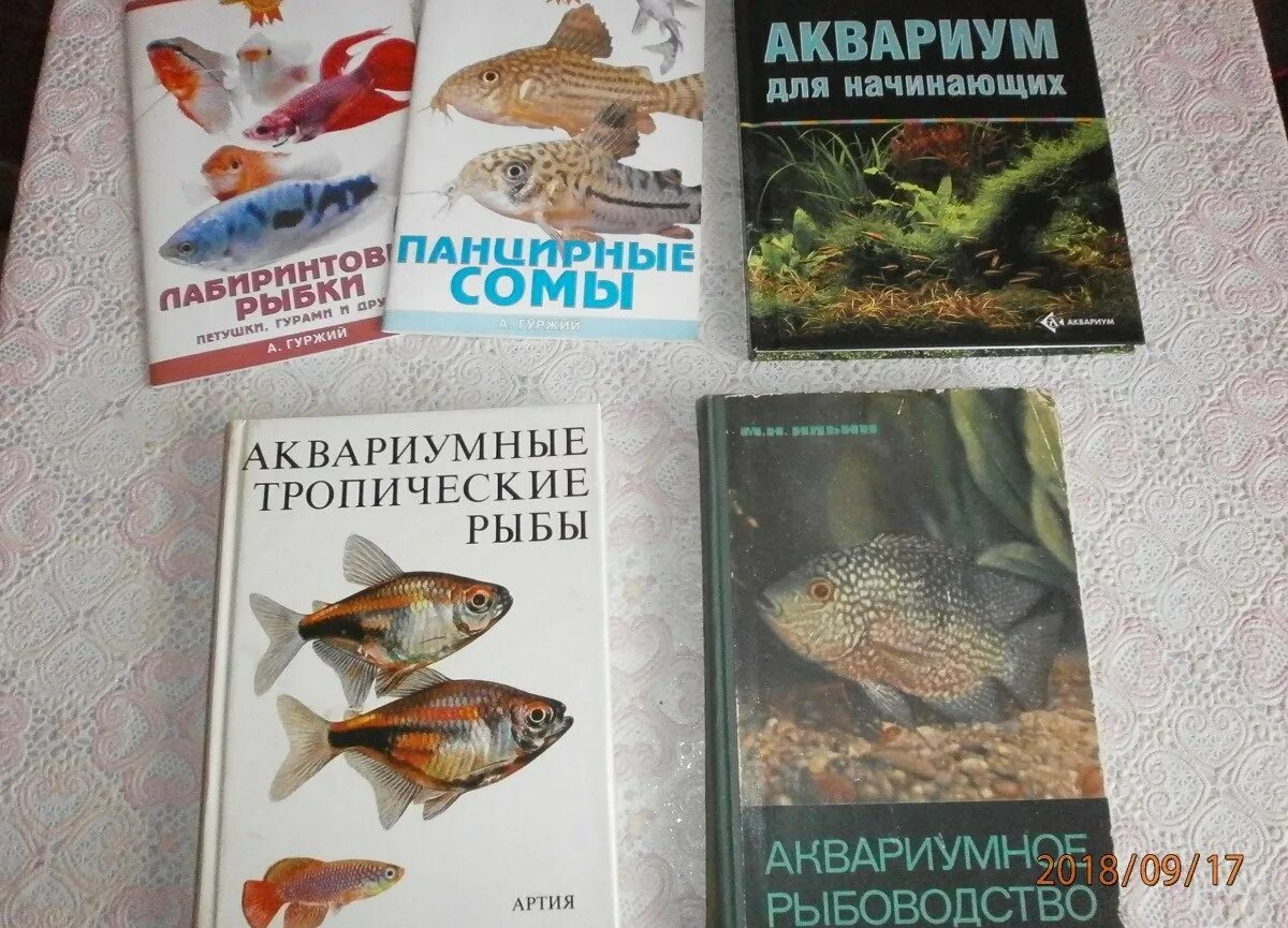 Журнал аквариумистика. Книги по аквариумистике. Советские книги по аквариумистике. Старые книги по аквариумистике. Учебник "аквариумистика".