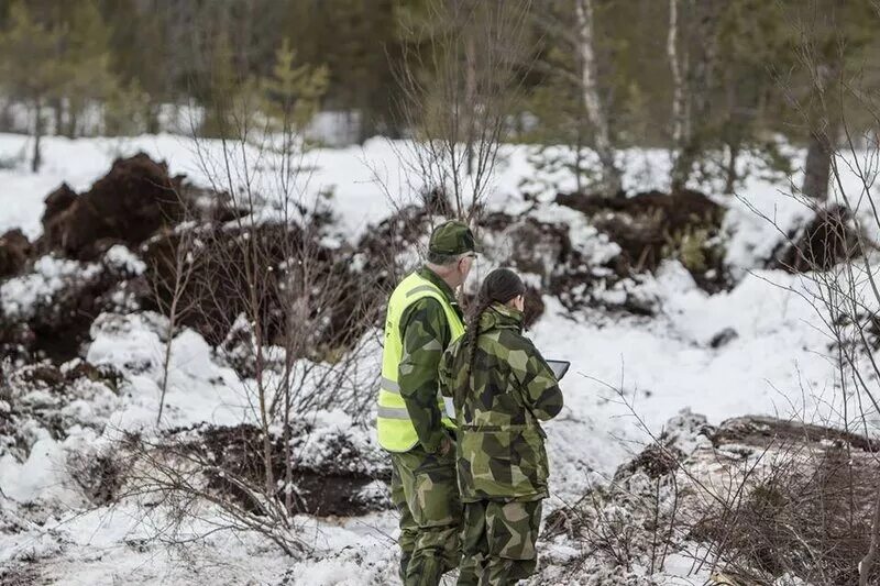 Пожарный мо рф. Военный эколог. День военного эколога. Аонная экология. Вс РФ экология.