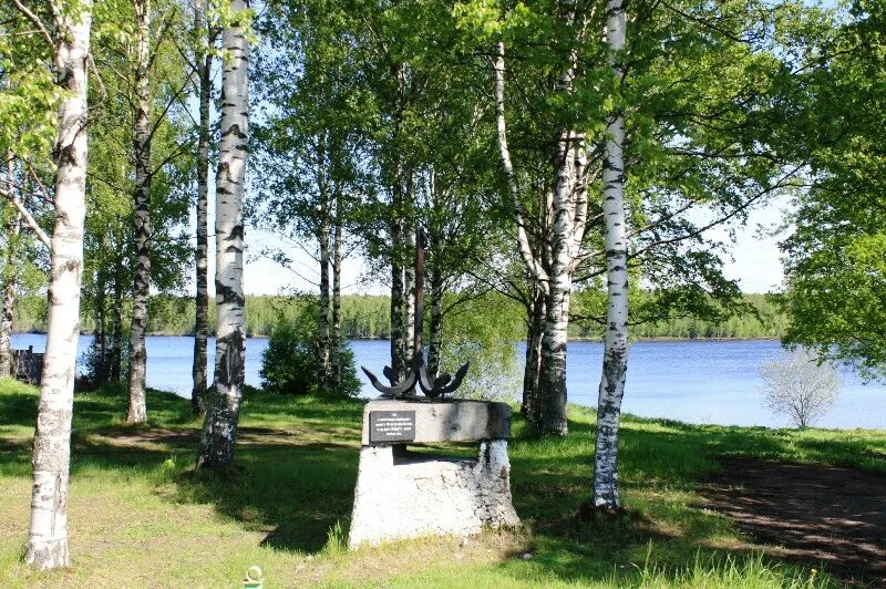 двери лодейное поле