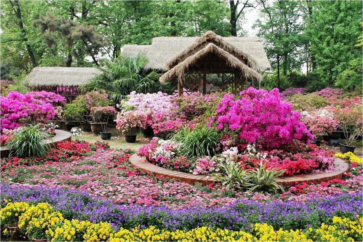 Сучжоу сад Ваншиюань. Красивый сад. Цветы в саду. Цветочный сад.