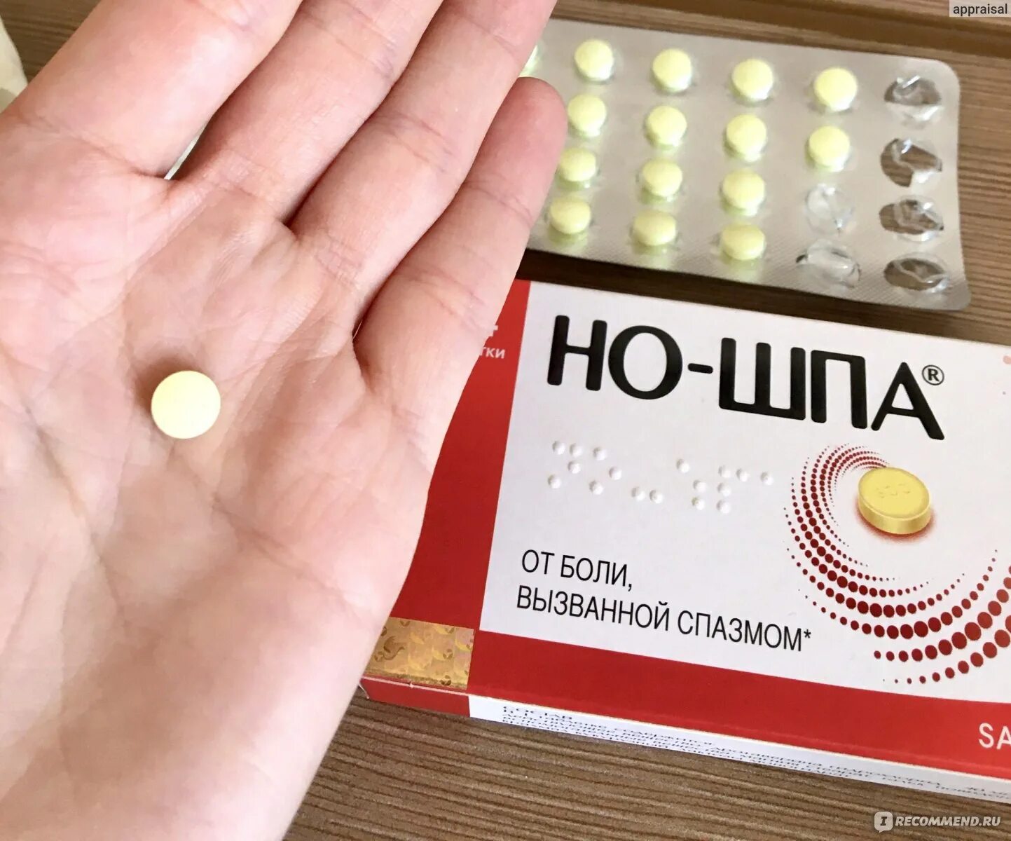 Можно ли при головной боли пить ношпу