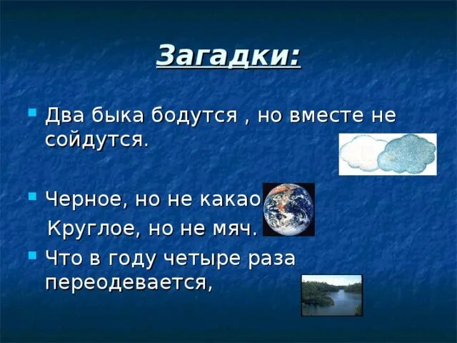 Два быка бодутся а вместе не сойдутся