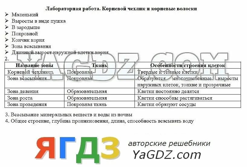 Лабораторная работа 6 биология. Лабораторная работа по биологии 6 класс. Лабораторная работа #5 класс 6. Биология 6 класс лабораторная работа 5.