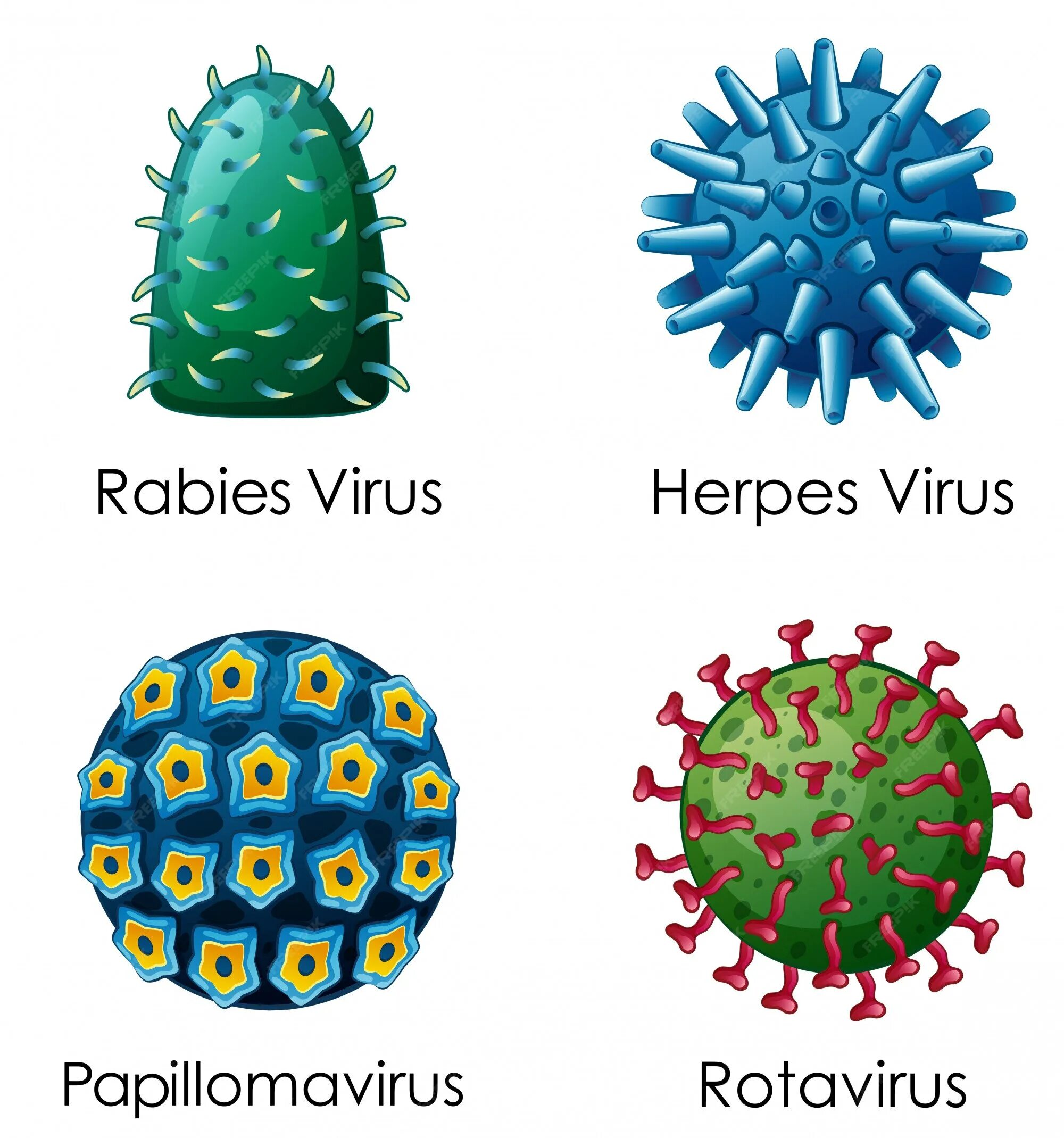 Types of viruses. Вирус. Плакат вирусы. Разновидности вирусов плакат.