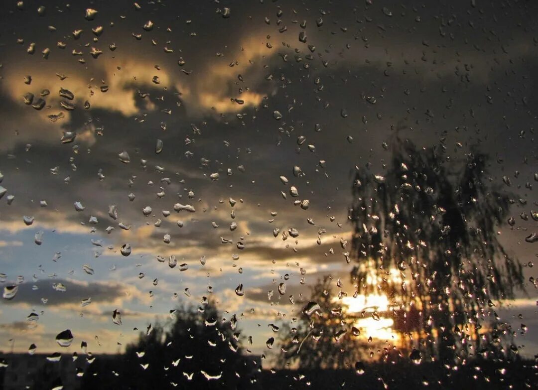 Ненастной ночью когда воет ветер и круговерть. Ненастной ночью когда воет ветер и круговерть. Загадочный туман. Ненастной ночью когда воет ветер и круговерть. Ненастной ночью когда воет ветер и круговерть.