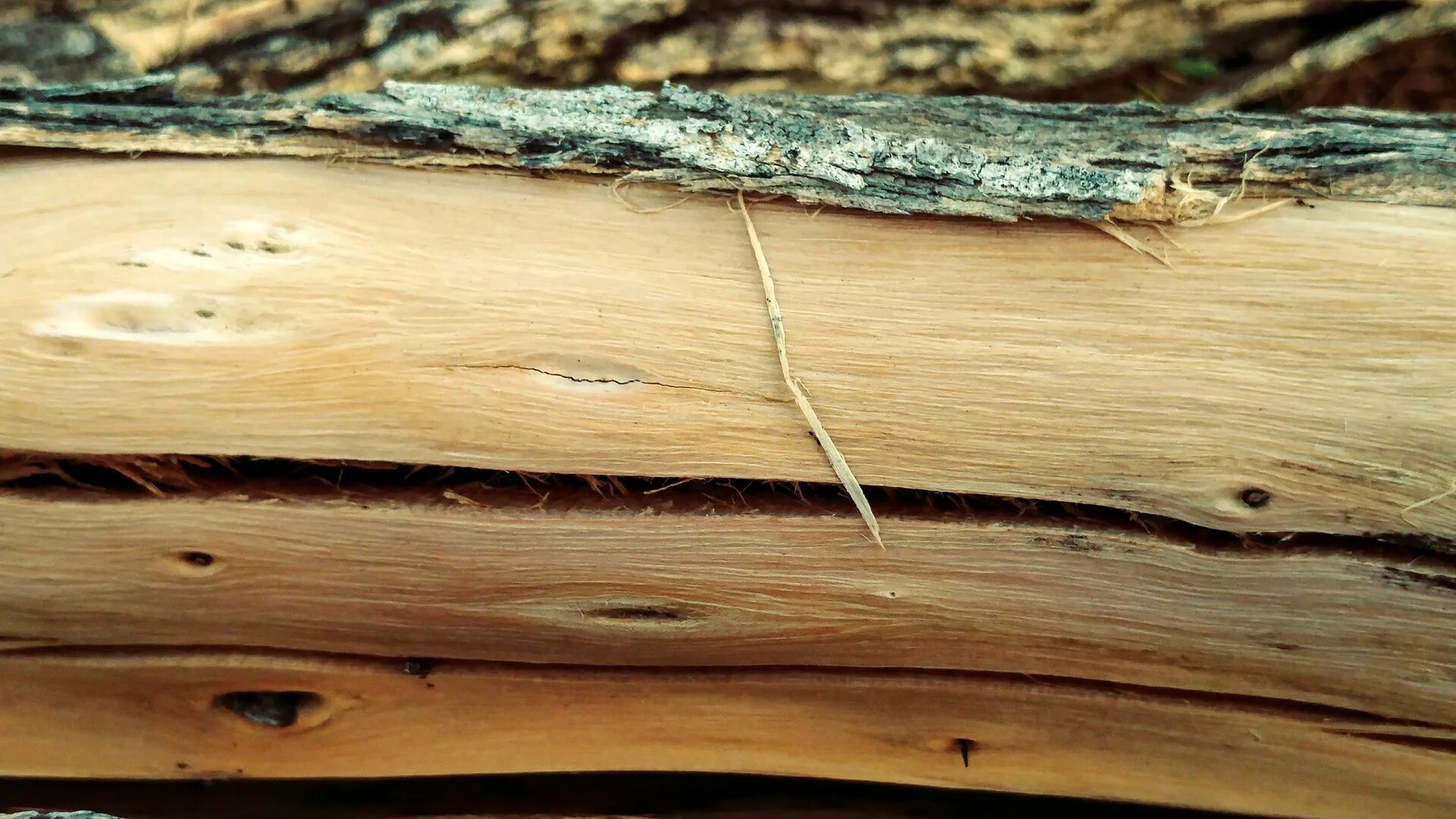 Растрескивание древесины. Трещины древесины. Коробление древесины. Бревно без коры.