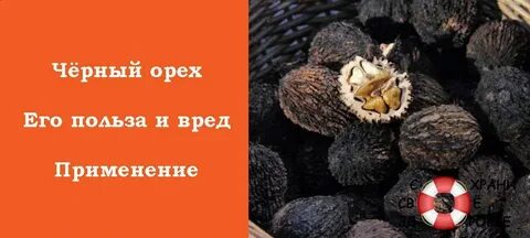 Черный орех польза