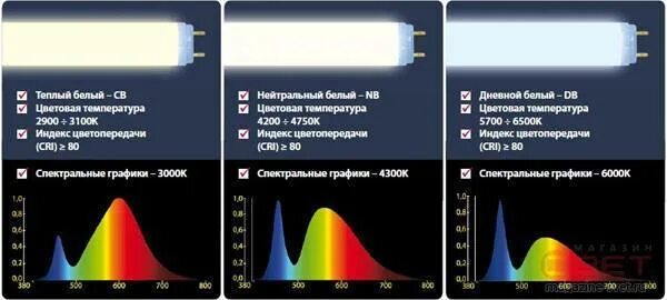 Что является источником повышенной яркости. Спектр светодиодной лампы 4000к. Спектр ламп диодных 2700k. Спектр светодиодной лампы 6500 k. Спектр лампы 6500к.